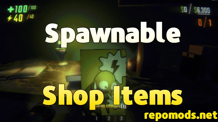 Shop Items Spawn in Level repo mod