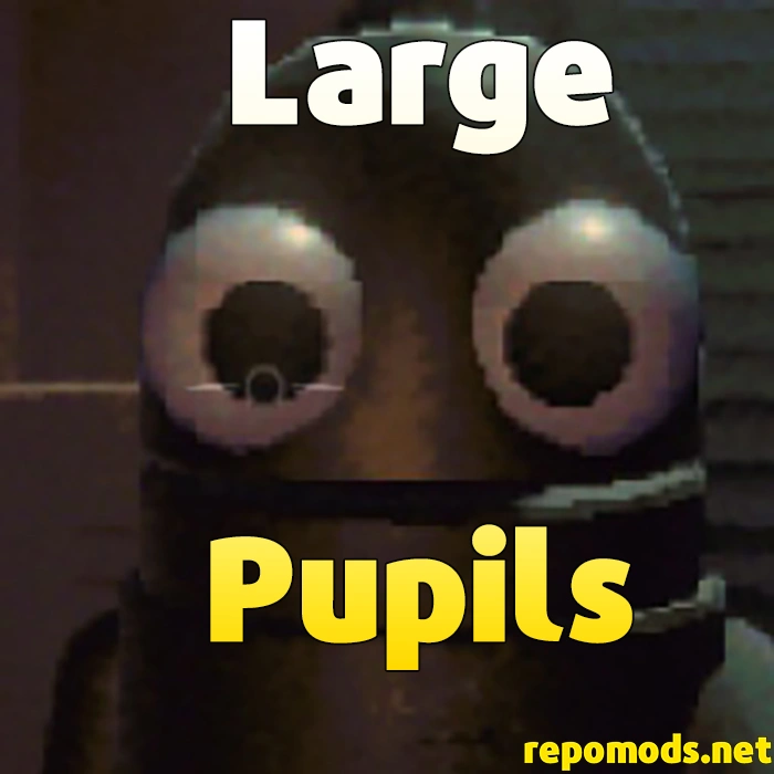 LargePupils repo