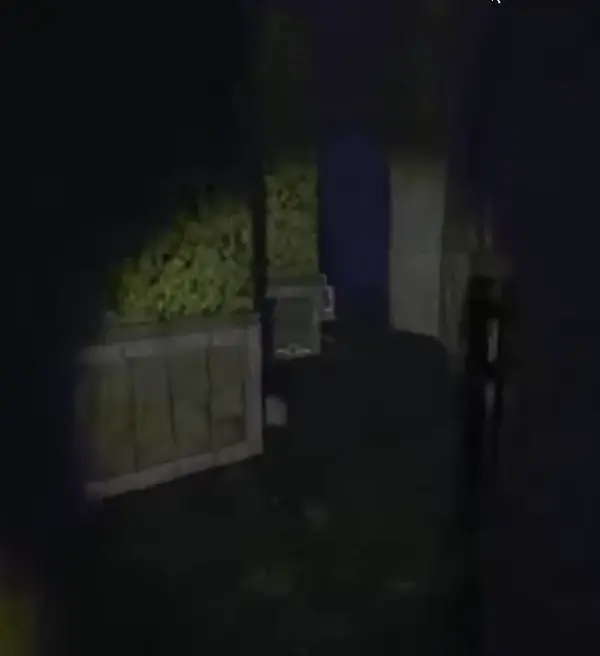 Vacuum Enemy repo monster